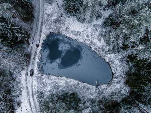 Pond in the winter