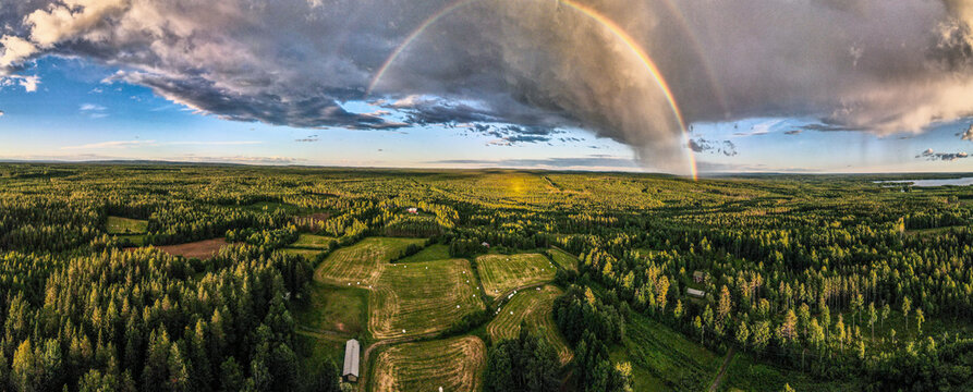Rainbow over the field