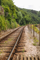 Fototapeta na wymiar Single railway track