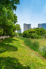 Lakeside modern office building in China