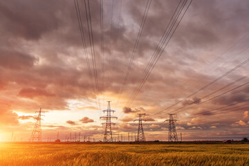 High-voltage power lines passing through a green field of wheat, on the background of a cloudy sky