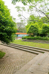 Empty street at the nice and comfortable great garden under lovely blue sky