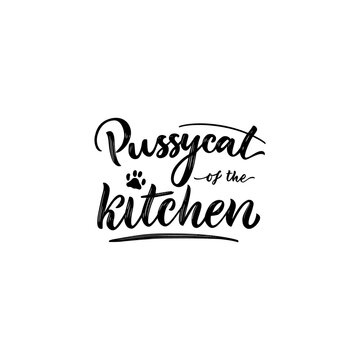 Motivational funny quote Pussycat of the kitchen. Vector. Hand texture calligraphy lettering. Script.