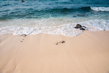 abstract sand of beach and soft wave background