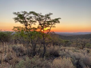 Obraz na płótnie Canvas Bushveld Sunset
