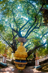  Pagoda at An mountain in Quang Ngai Province, Vietnam