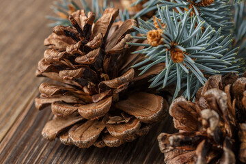 Pine cone and green branch on wooden table .Christmas card. Pine cones on wooden background.