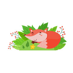 A cute fox sleeps sweetly on a green lawn.