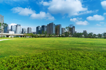 Fototapeta premium city park with modern building background in shanghai