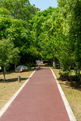 The road of City Park in China