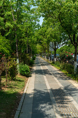 walkway in the modern city