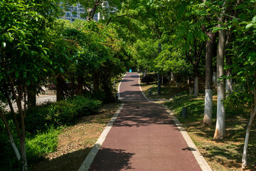 The road of City Park in China