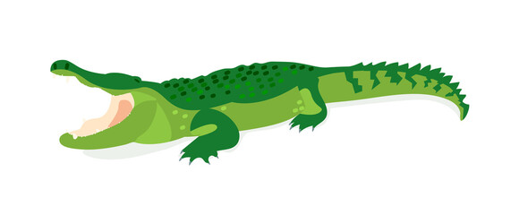 Crocodile with open mouth on a white background. Vector illustration of a dangerous alligator.