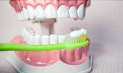 Fototapeta na wymiar Green toothbrush with white toothpaste brushing teeth on teeth model.Dental care 