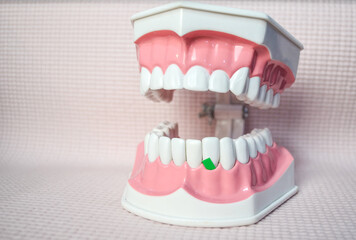 Green vegetables on the below teeth model.Dental care demonstration.Dental care concept.