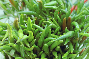 Green cayenne pepper close up. Soft selective focus. Blurred background