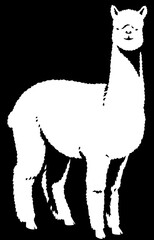 black and white linear paint draw lama illustration art © Turaev