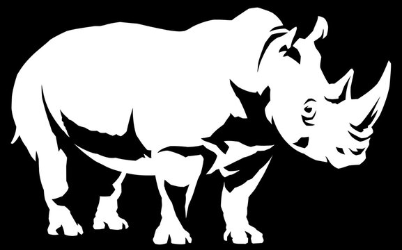 black and white linear paint draw rhino illustration art