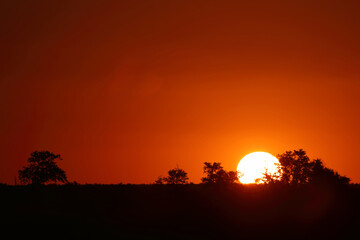 Sonnenuntergang Krüger Park Südafrika / Sundown Kruger Park South Africa /