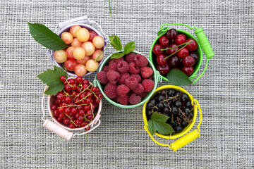 Colored baskets overflowing with summer mixed berries like raspberries, currant and cherry. Harvest of various berries in a garden