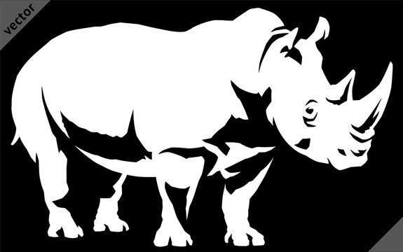 black and white linear paint draw rhino vector illustration art