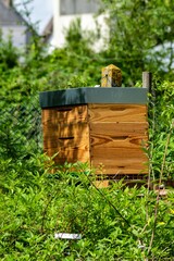 Naklejka premium view of beehive in the grass
