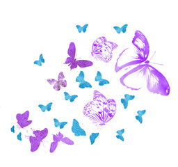 Flock of silhouette butterflies on white