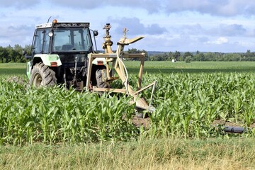 view of tractor in corn field