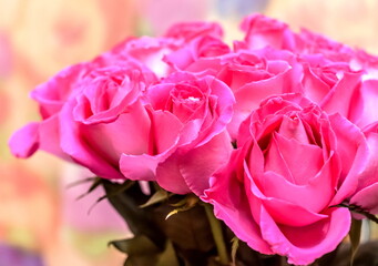 Bouquet of roses closeup