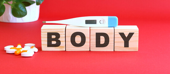 The word BODY is made of wooden cubes on a red background. Medical concept.