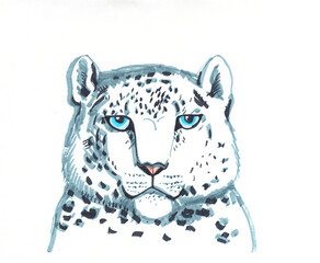 snow leopard ounce, is a large cat native to the mountain ranges of Central and South Asia ranging from eastern Afghanistan to Mongolia and western China. sketch markers, freehand drawing