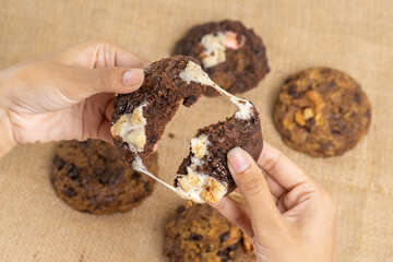 Fudgy Soft Baked Cookies Indonesia