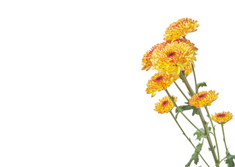 マム（バック飛ばし）