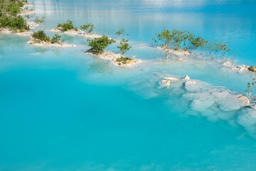 Lagoon in the lake with turquoise water and trees growing on the limestone rocks. Faxe Kalkbrud, Denmark
