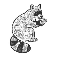 raccoon and apple sketch raster illustration © Oleksandr Pokusai