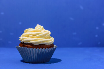 Cupcake on blue background