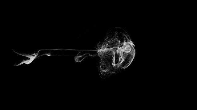 3D rendered video looks like smoke on black background.