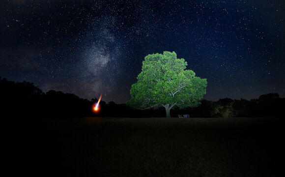 Milky way in clear stars night over green tree.Meteor hit the earth.