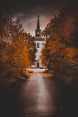 a moody autumn day in the world. whit great color and halloween feeling.