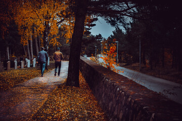 a moody autumn day in the world. whit great color and halloween feeling.