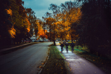 a moody autumn day in the world. whit great color and halloween feeling.