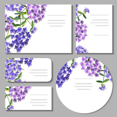 Set with floral templates on white background