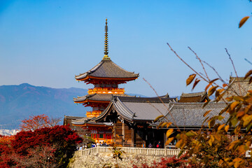 Fototapeta premium 秋の清水寺 三重塔 