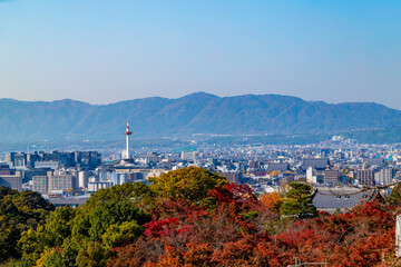 Naklejka premium 紅葉の清水寺から京都市街を展望