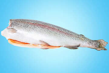 Large raw headless trout on a blue background. Top view. Healthy eating.