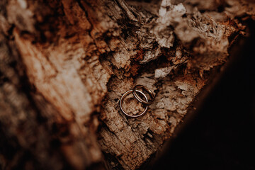 Hochzeitsringe auf Holz