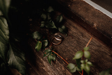 Hochzeitsringe auf Holz