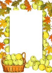 Vertical template with apples, basket of harvest, leaves.