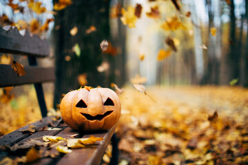 Autumn Thanksgiving day background. Halloween Pumpkins, patch. Beauty Holiday autumn festival...