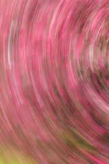 Artsy swirl motion blurred pink flowers.